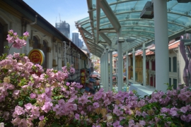 <h5>Sinagpore Chinatown</h5>
